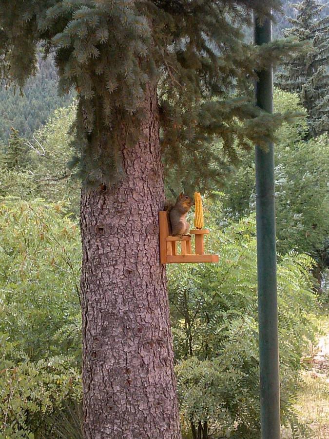 Green Mountain Falls Lodge Bagian luar foto